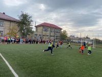 IMG-20221021-WA0066